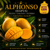 Alphonsa